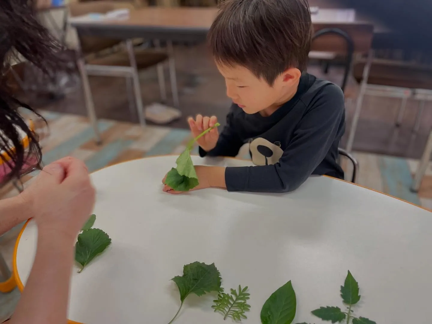 【朝子先生の観察授業🌿】