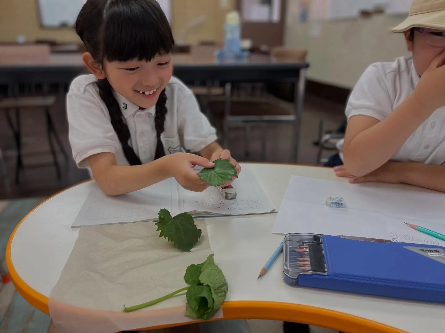 【朝子先生の観察授業🌿】
