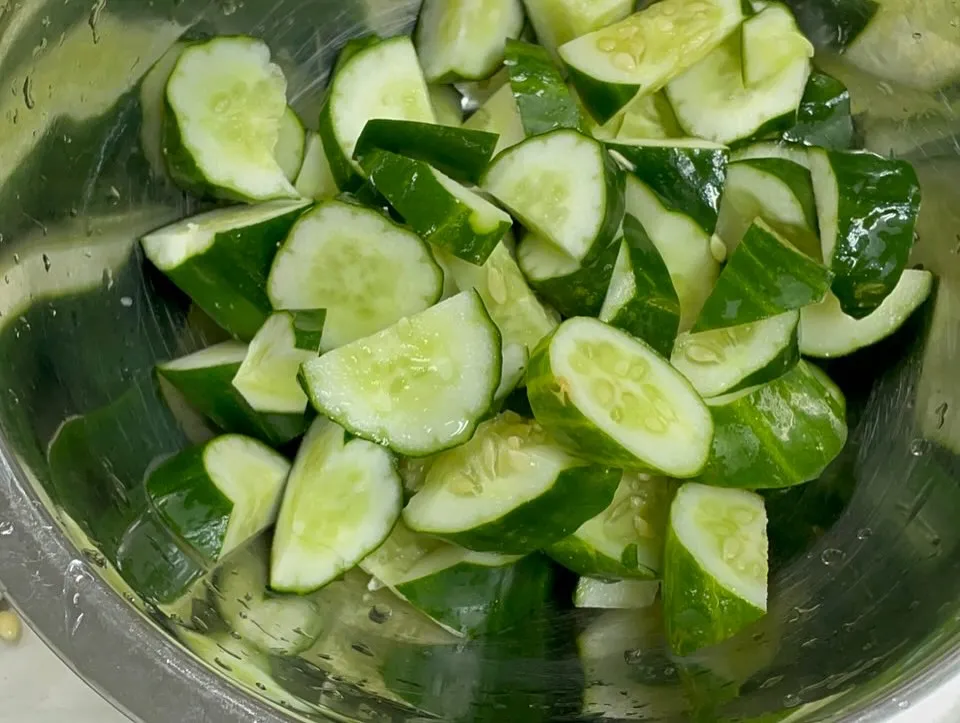 【きゅうりはどこで出来ますか？】