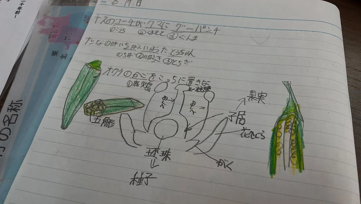 【大ジャンプサマーレッスン⑤】