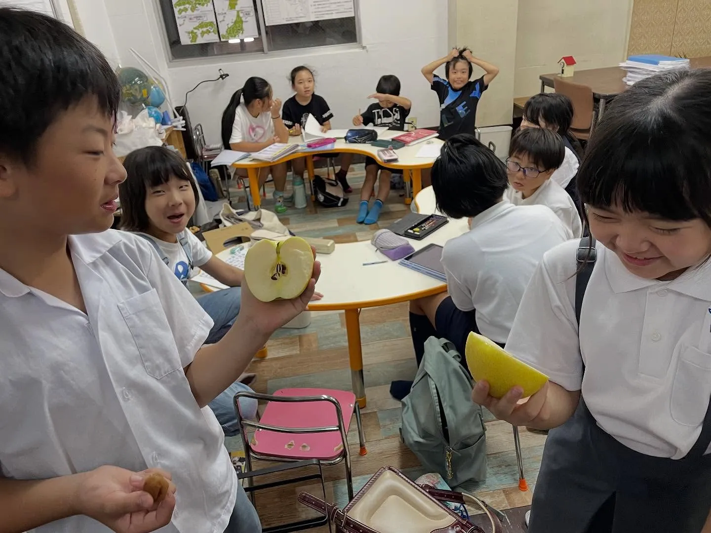 【種の観察👀】　