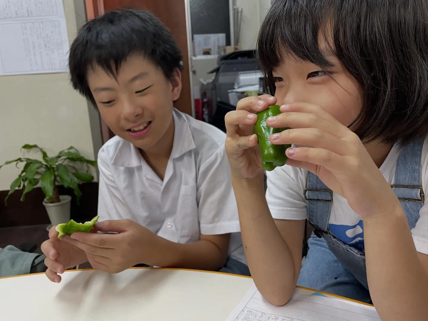 【種の観察👀】　