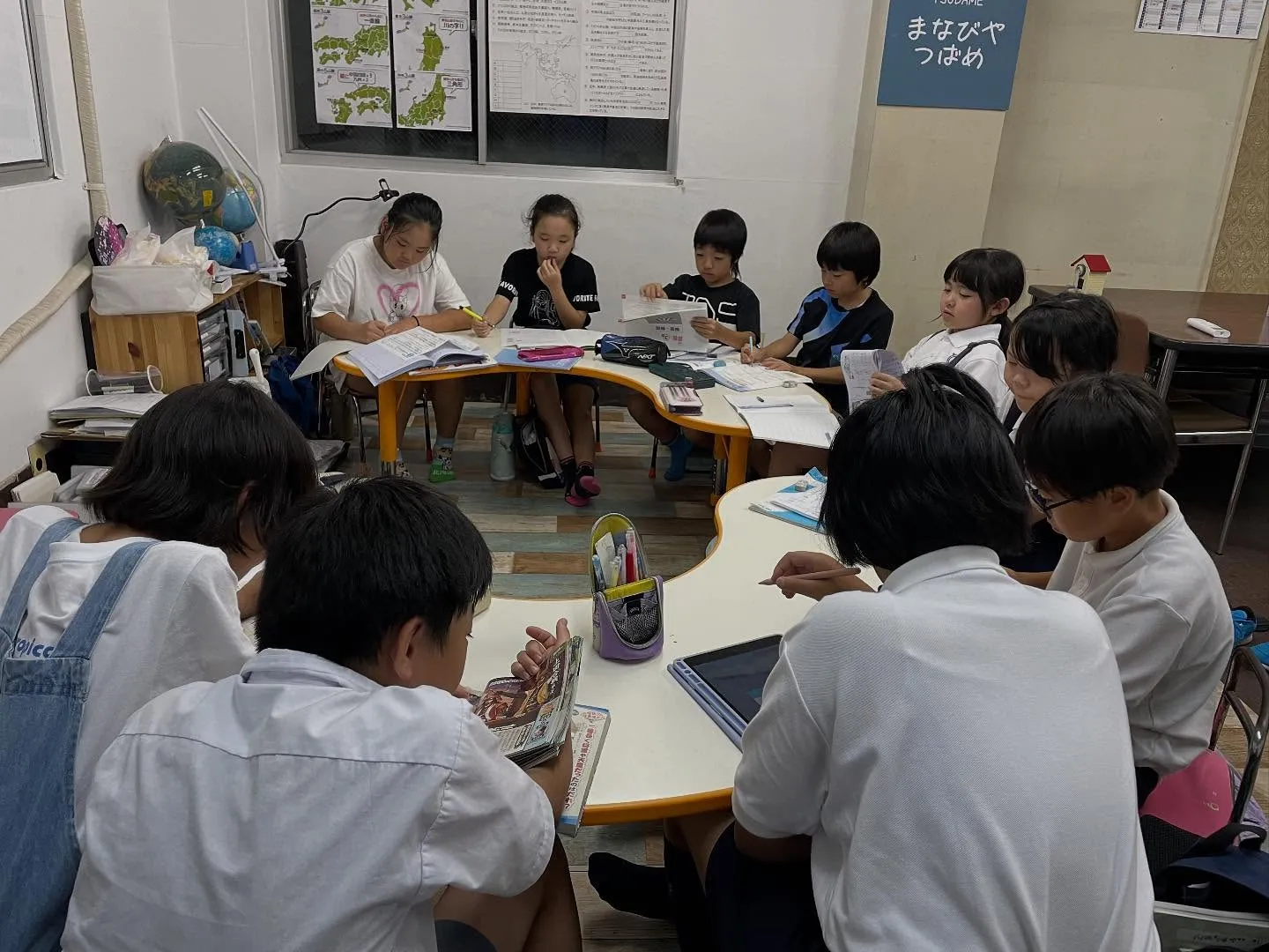 【種の観察👀】　