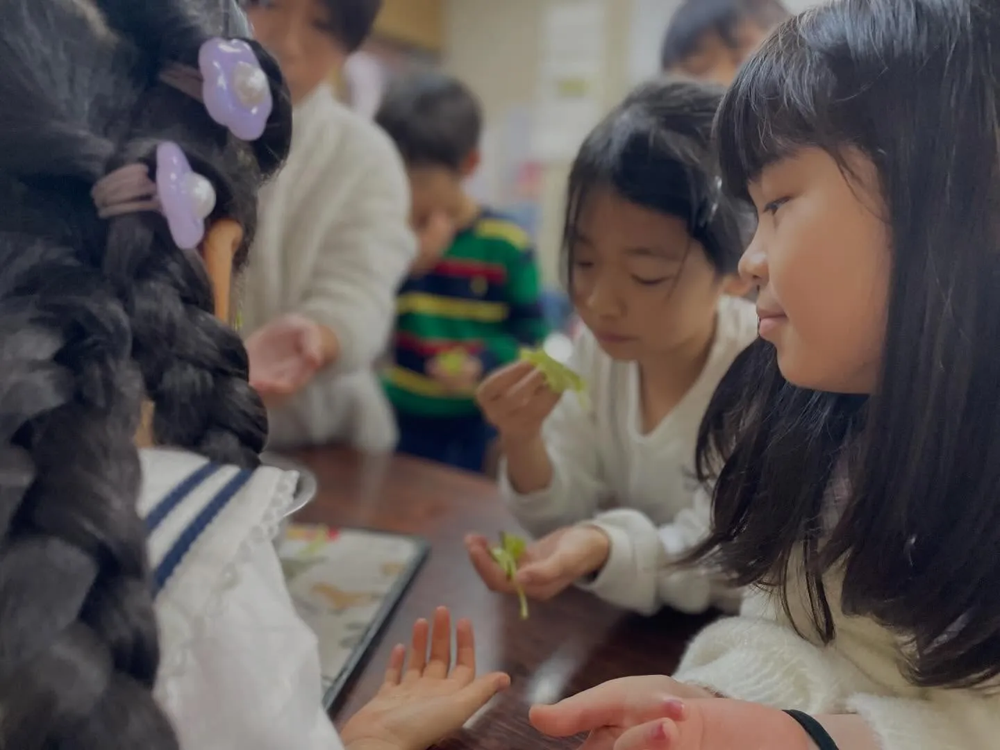 【開雲見日②】