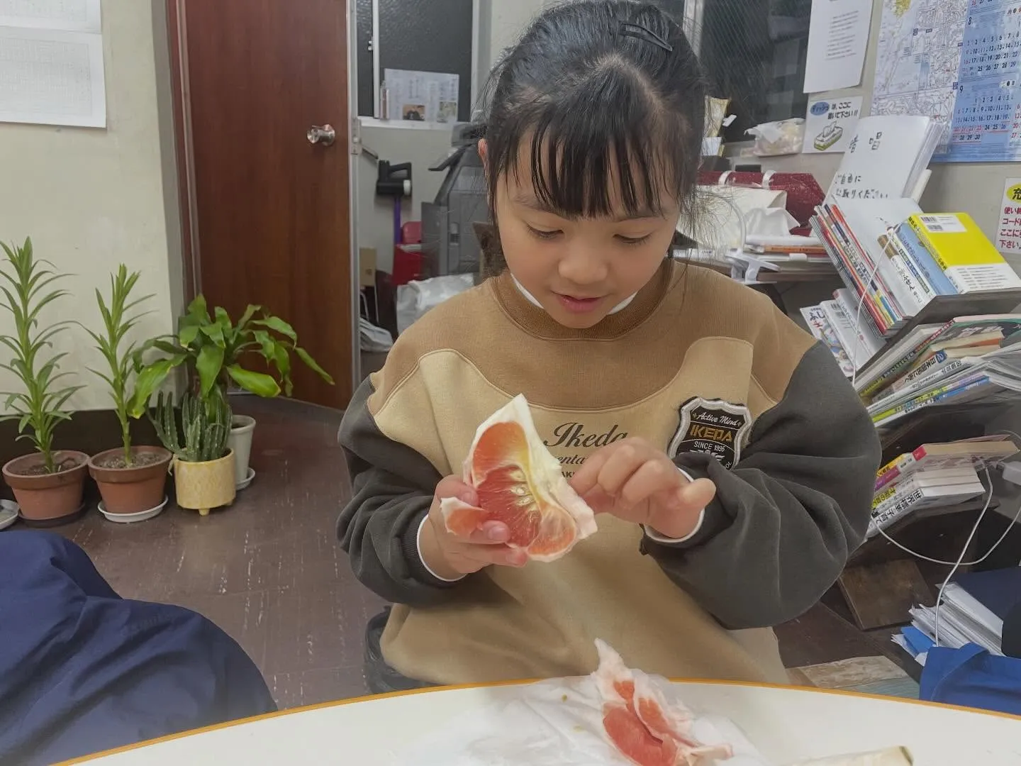 【ボンタンと夏みかん？？】