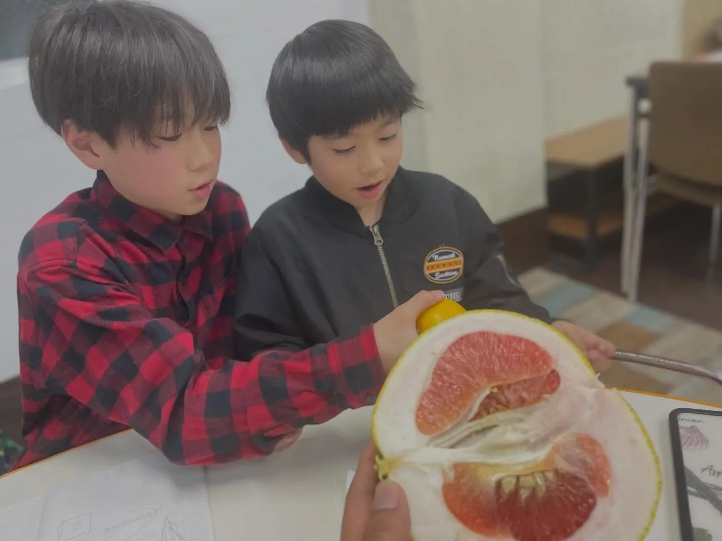 【ボンタンと夏みかん？？】