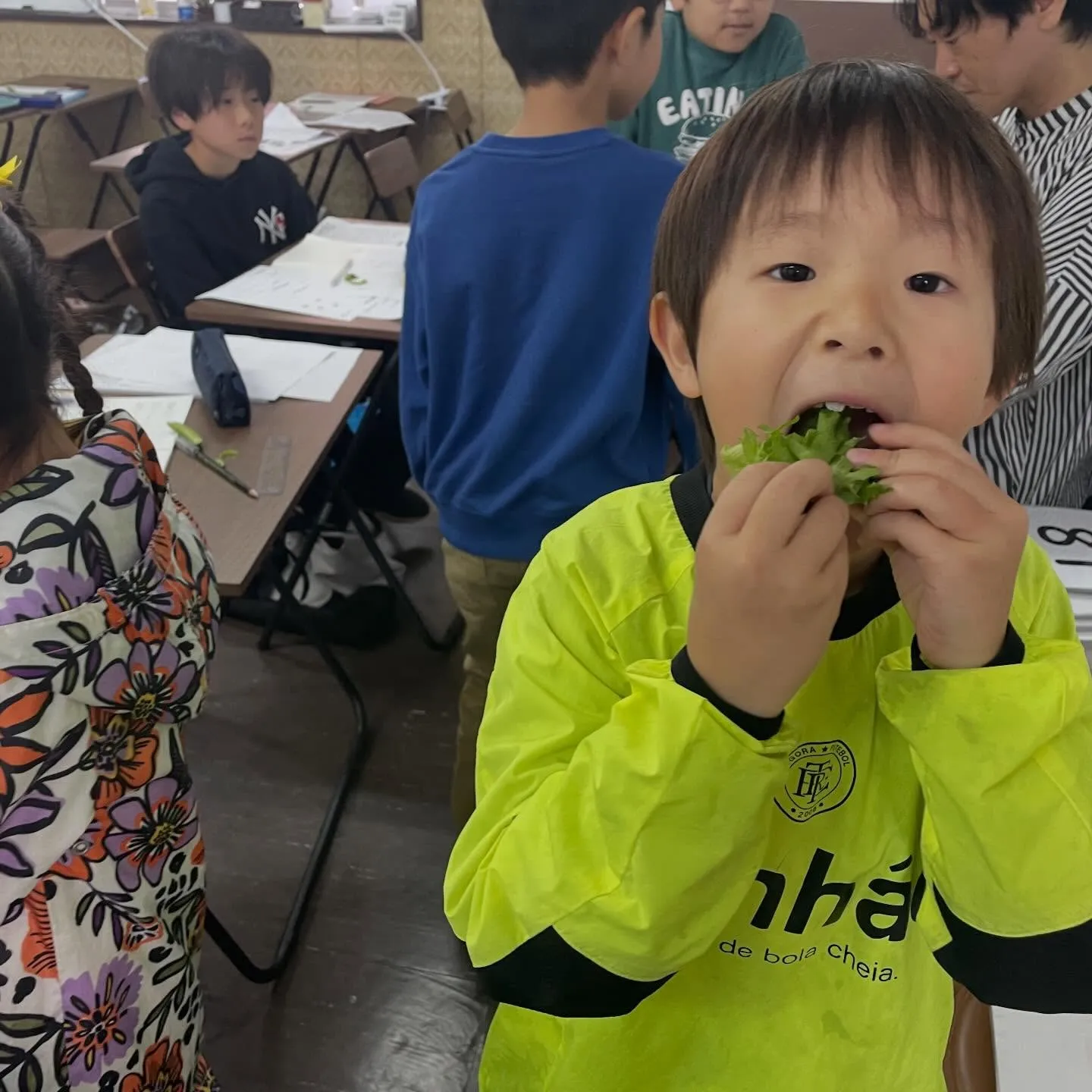 【一樹百獲②】　