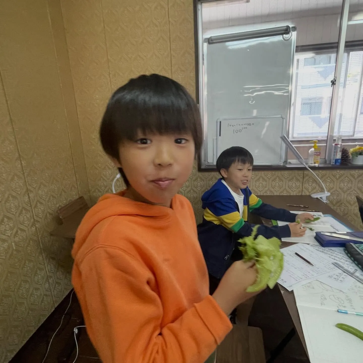 【一樹百獲②】　