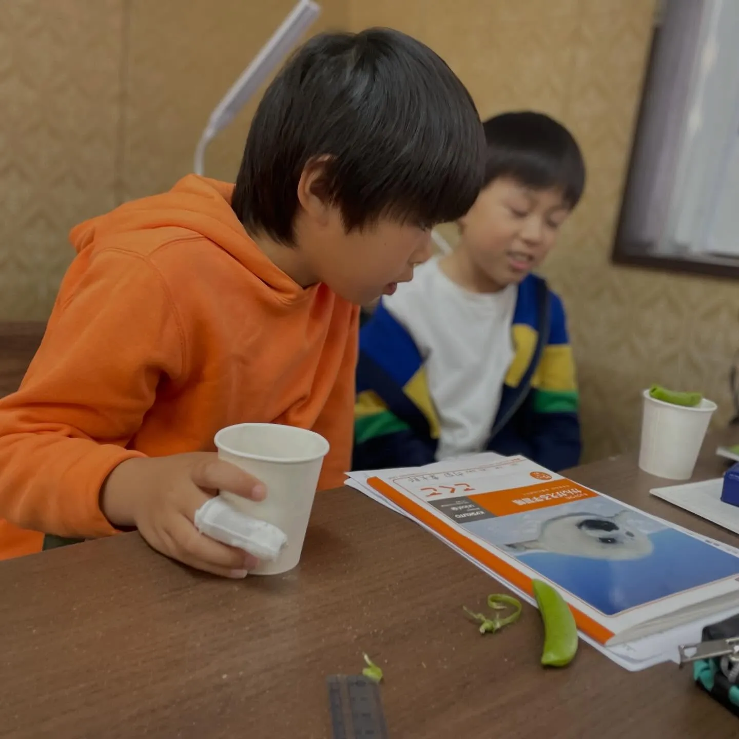 【一樹百獲②】　