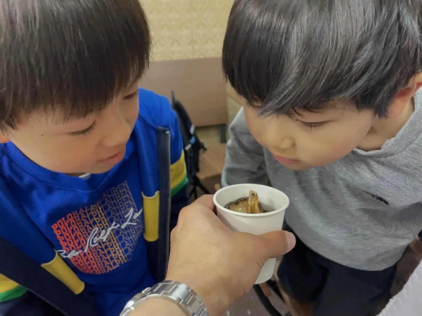 【一樹百獲③🌳】