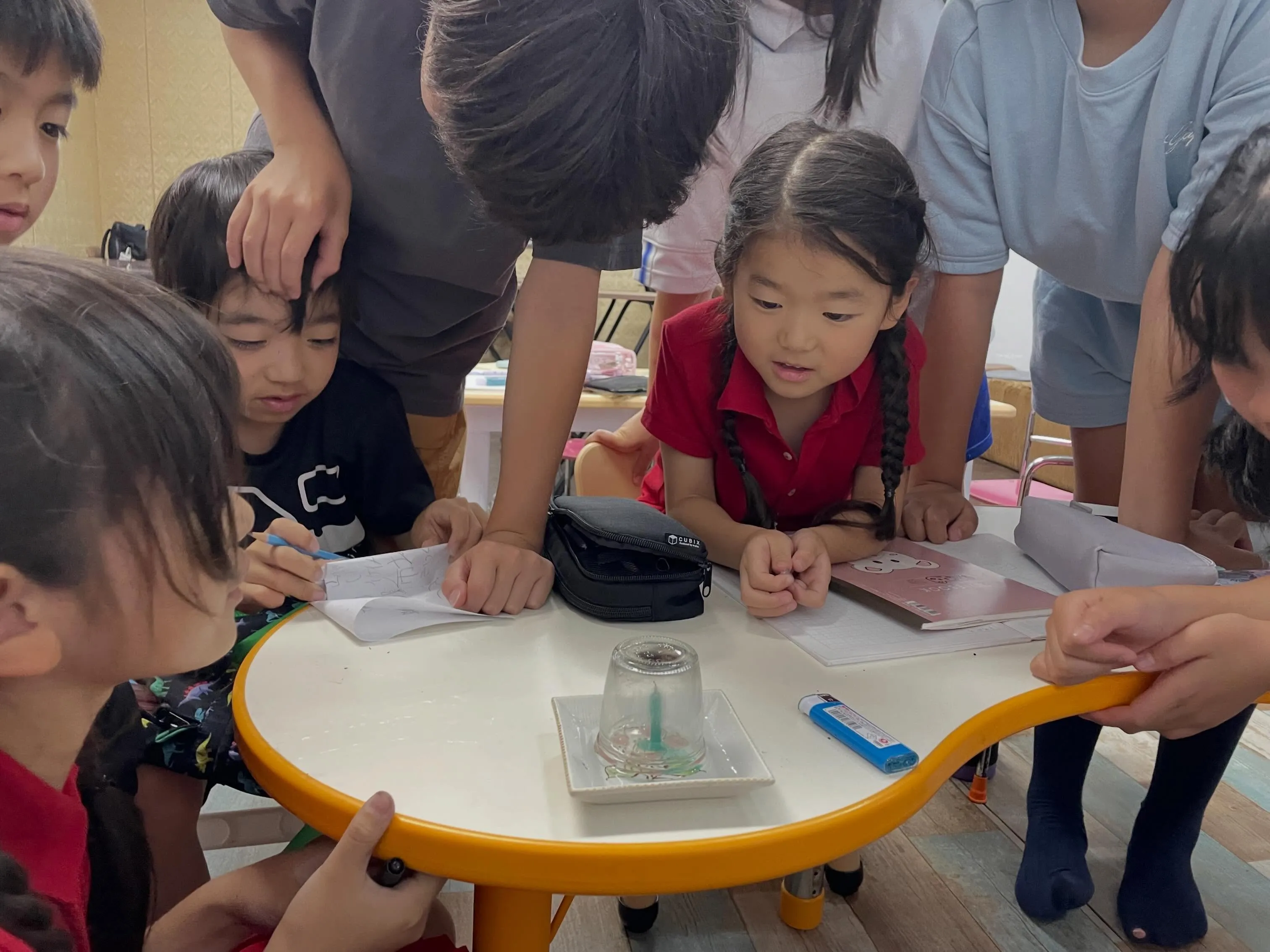 【実験🧪発表🙌】